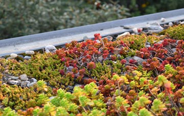 the cost of Stanwix green roof installation