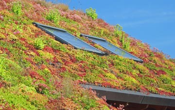 Stanwix living roof systems
